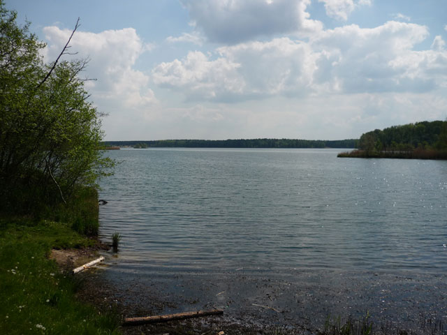 bergwitzsee